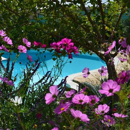 Antica Masseria Timparuci 3*