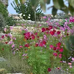 Antica Masseria Timparuci Gæstehus