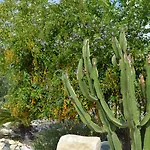 Antica Masseria Timparuci