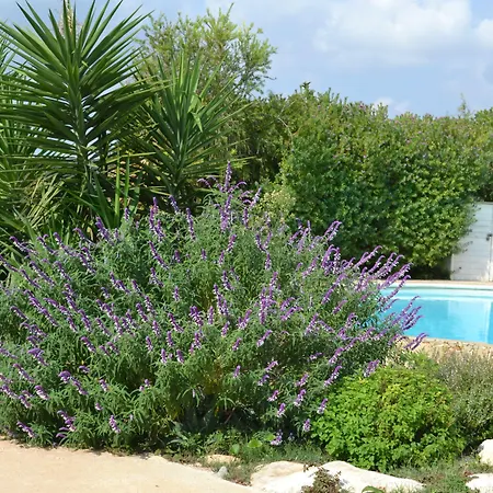 Pensión Antica Masseria Timparuci