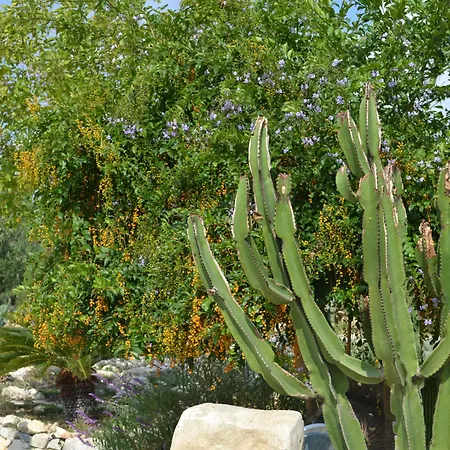 Antica Masseria Timparuci
